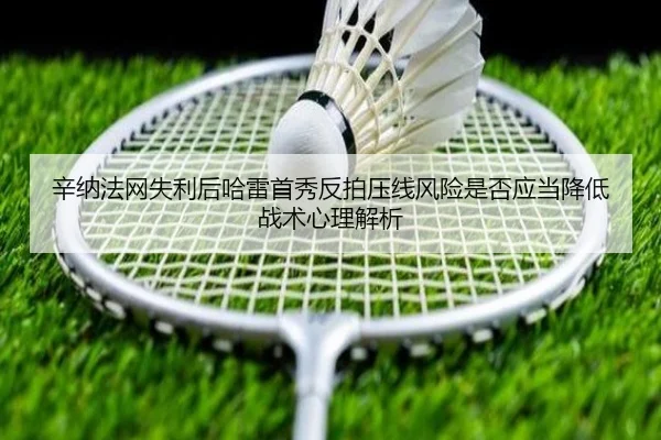辛纳法网失利后哈雷首秀反拍压线风险是否应当降低战术心理解析