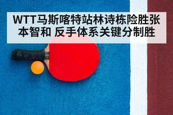 table tennis racket